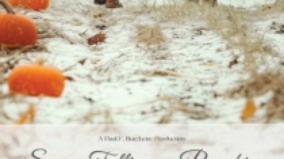 ⁣Snow Falling on Pumpkins (2025)