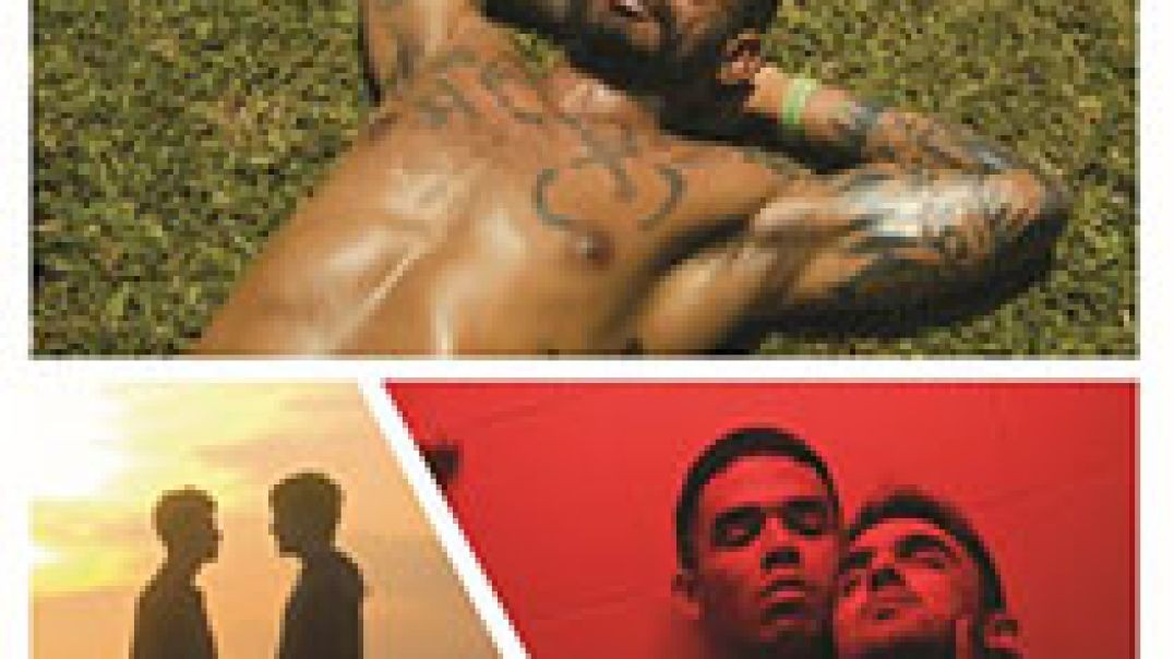 ⁣Male Shorts International V7 (2024)